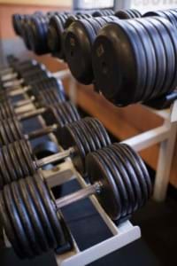 Weights on rack in gym