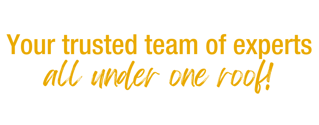 team transparent