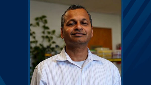 Visvanathan Ramamurthy, Ph.D., to be named WVU Health Sciences Chair in Research and Scholarships