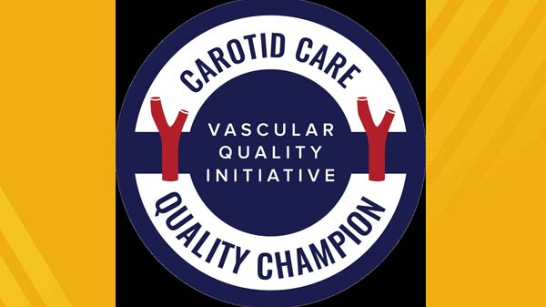 Corotid Care Quality Champion Vascular Quality Initiative logo