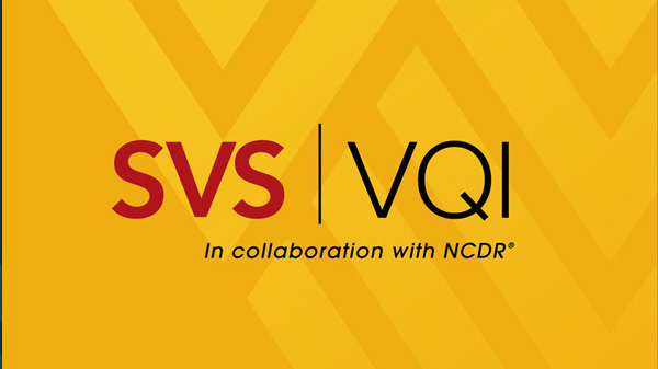 WVU Heart and Vascular Institute earns three stars in Vascular Quality Initiative Registry Participation Award Program