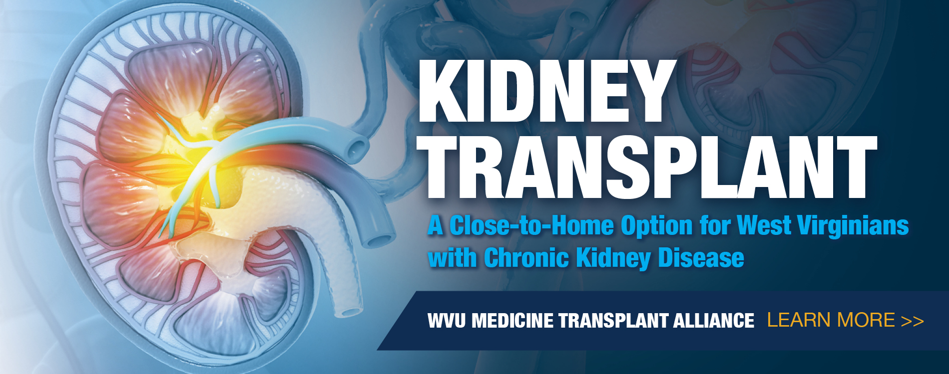 Kidney Transplant A close-to-home option for West Virginians with chronic kidney disease