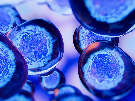  Cancers we Treat image